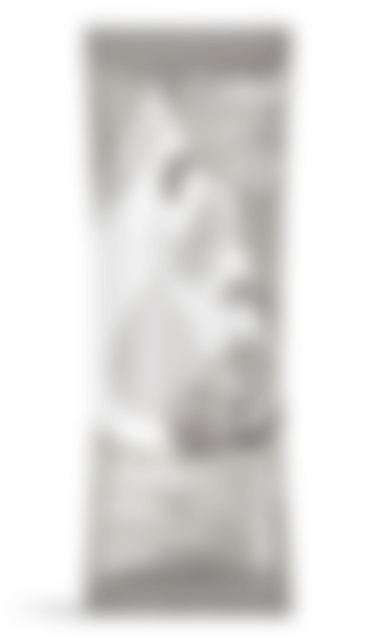 LifeSip Orange Clementine - Image 2